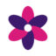 Shajbela icon